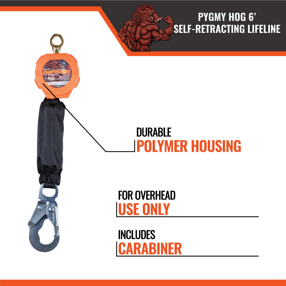 6' PYGMY HOG SRL, CLASS 1-P