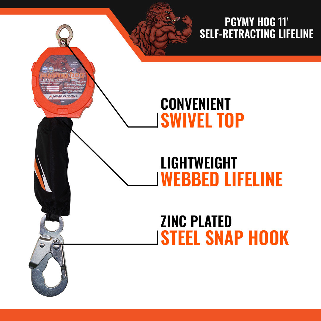 PYGMY HOG SRL, CLASS 1-P