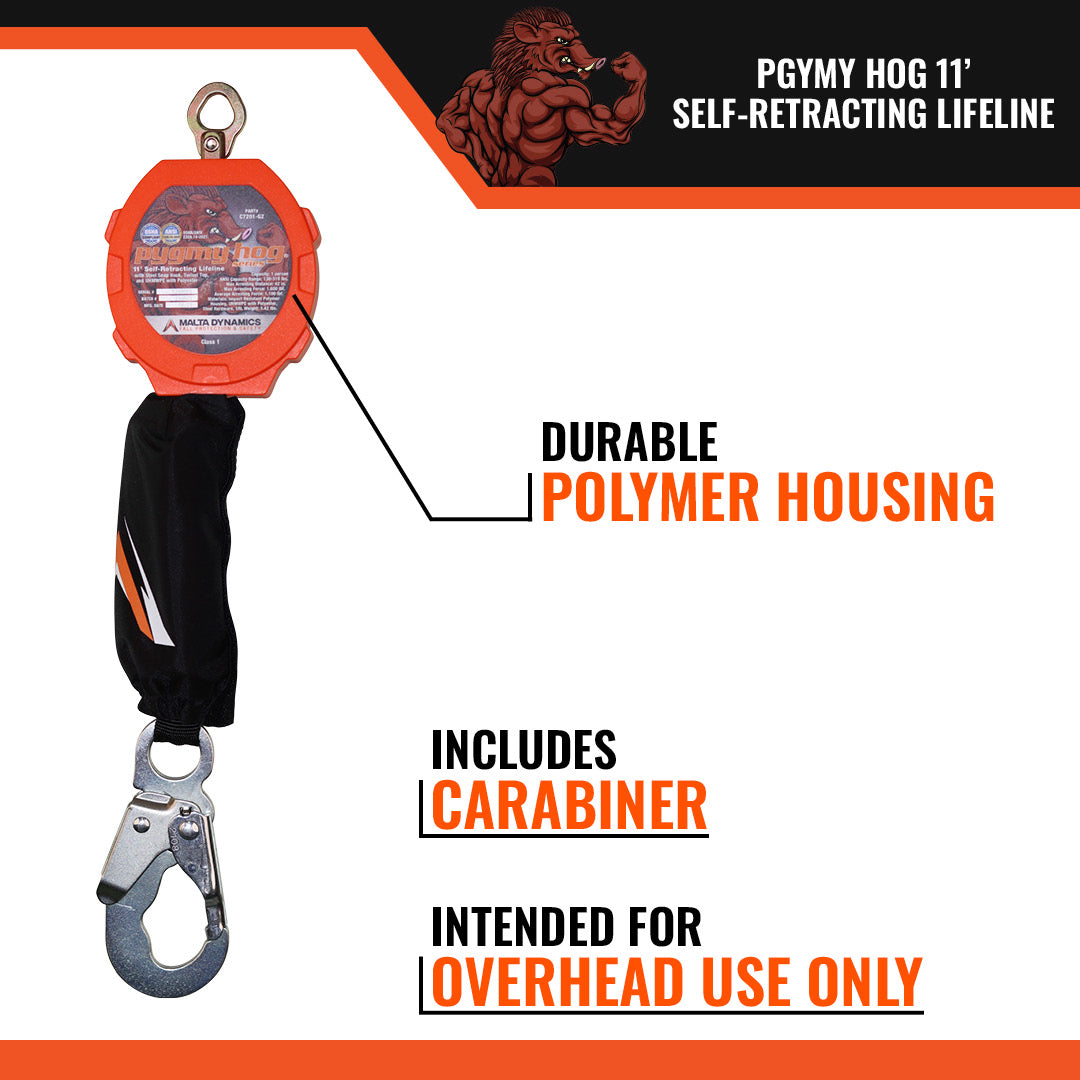 PYGMY HOG SRL, CLASS 1-P