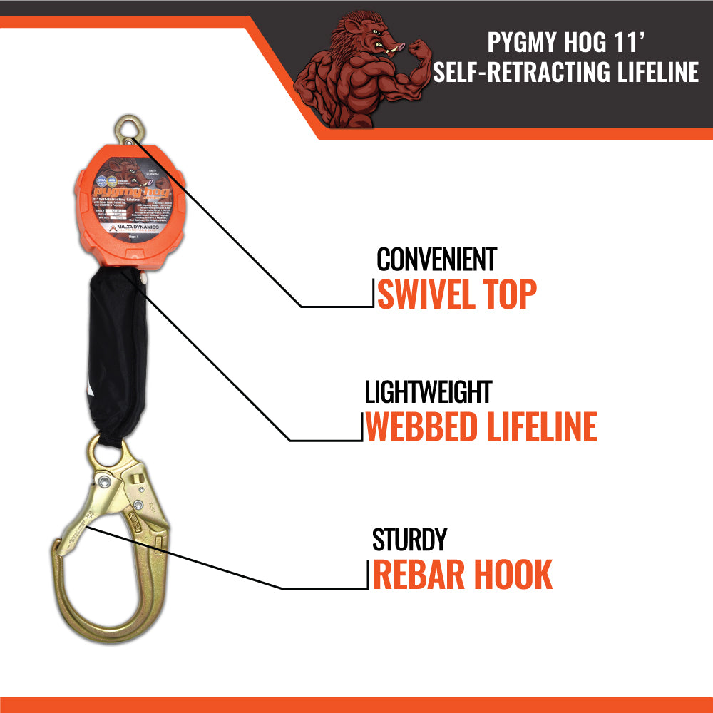 PYGMY HOG SRL, CLASS 1-P