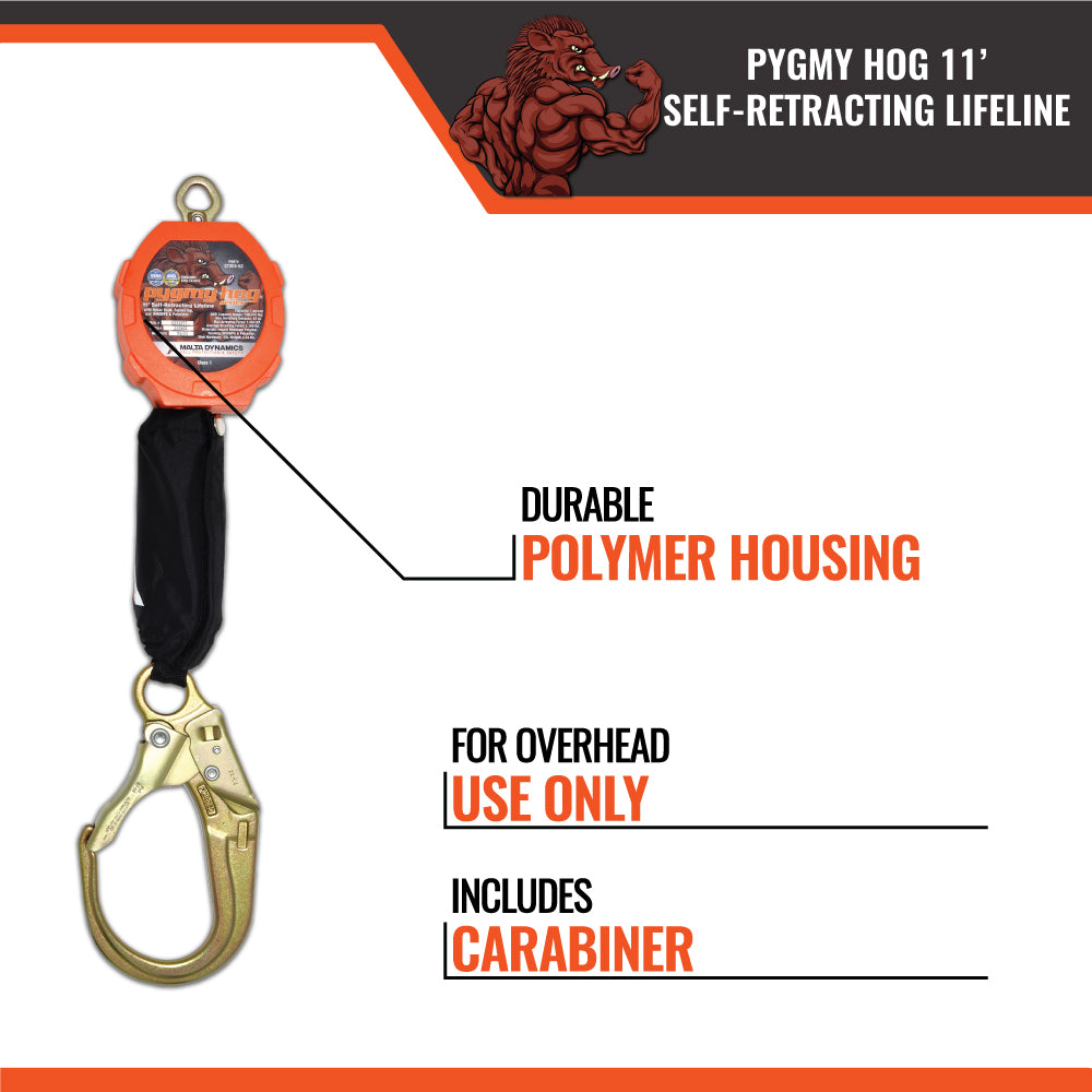 PYGMY HOG SRL, CLASS 1-P