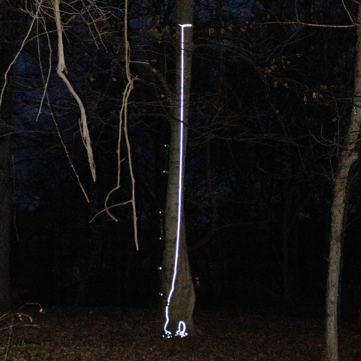 30' Malta Hunting Lifelines