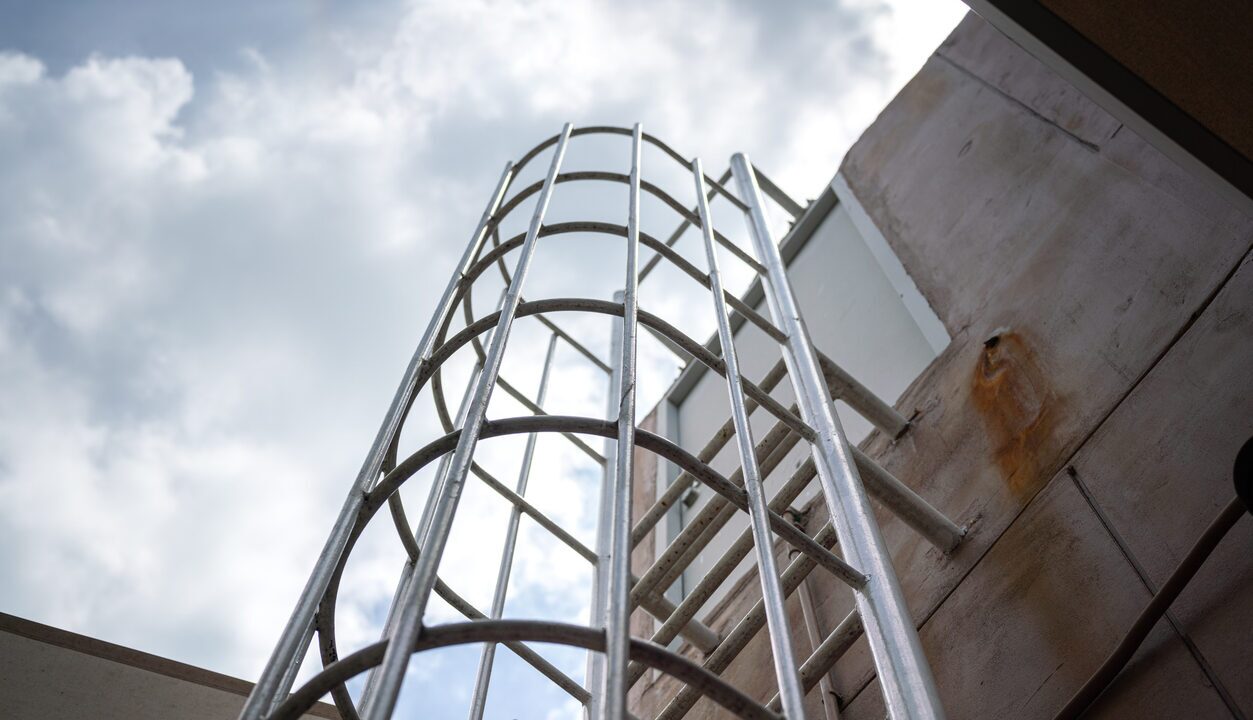 cage ladder