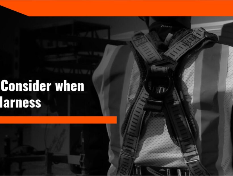 7 Things to Consider when Choosing a Harness scaled
