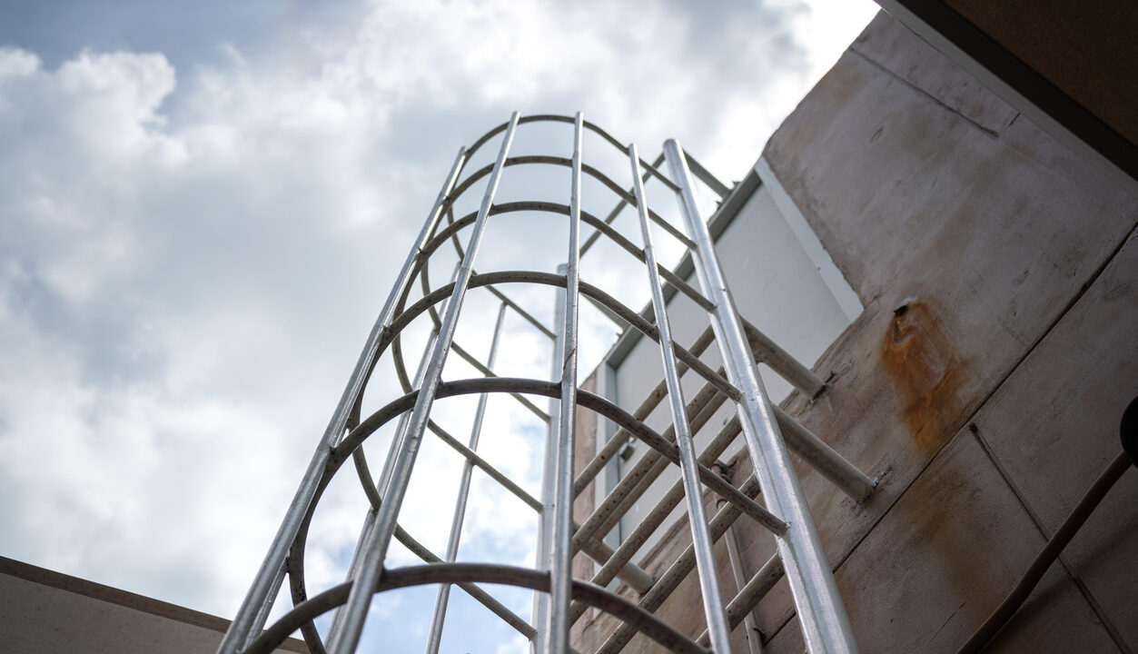 cage ladder