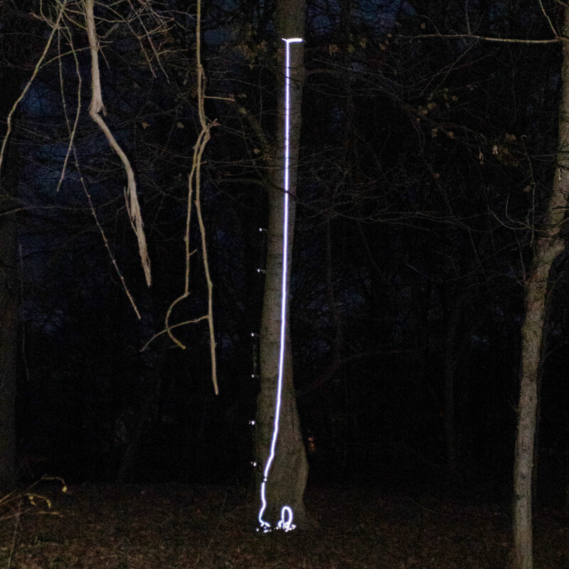 30' REFLECTIVE LIFELINE - Image 4